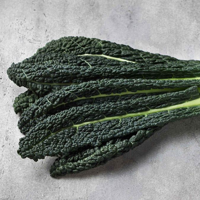 kale organic lacinato